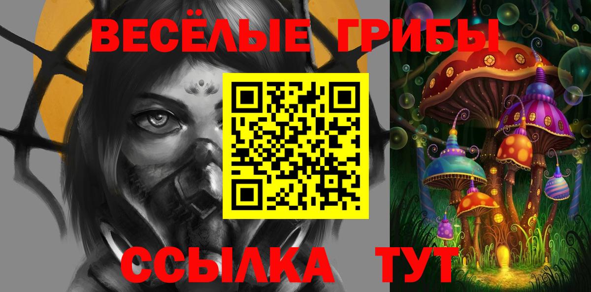 Псилоцибиновые грибы GOLDEN TEACHER Курчатов